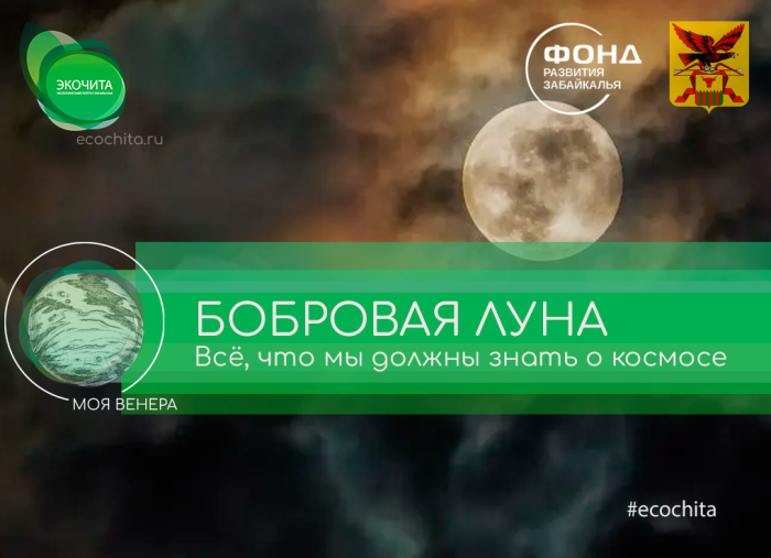 Бобровое полнолуние