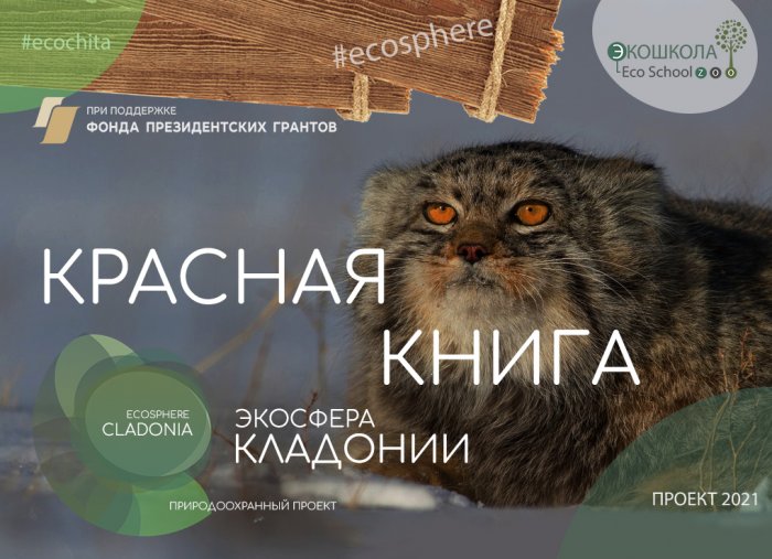 Седьмое занятие-КРАСНАЯ КНИГА ЖИВОТНЫЕ