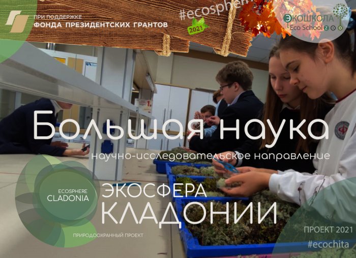 Большая наука - научно-исследовательское направление