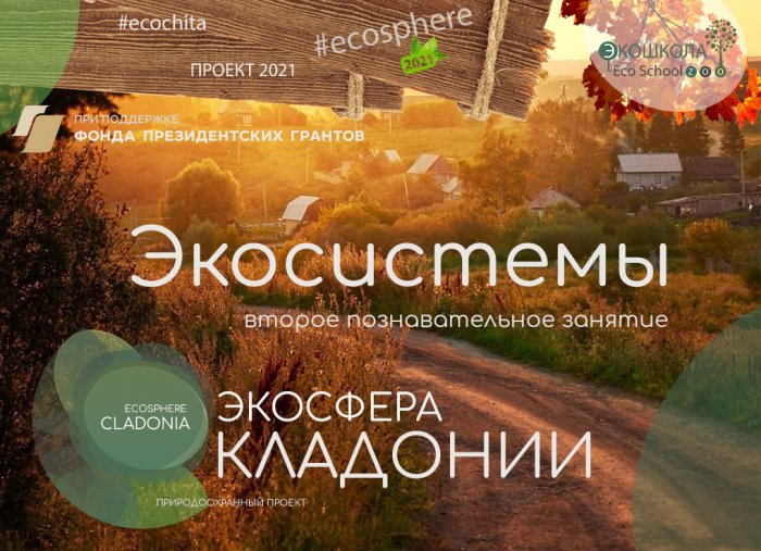 Экосистемы Забайкалья - второе познавательное занятие