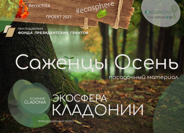 Саженцы Осень
