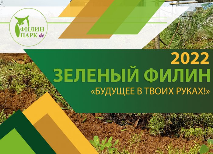 В Забайкалье появиться волонтерское экодвижение