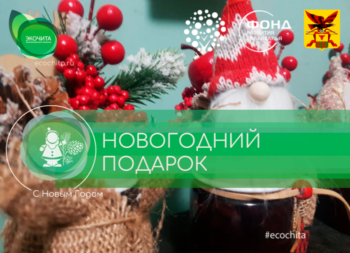 Новогодняя встреча и поздравление для школьников МОУ OОШ с. Сивяково