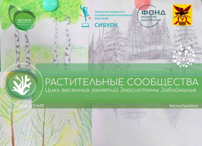 Изучение растительных сообществ- из цикла «Экосистемы Забайкалья» проекта «Кладония»