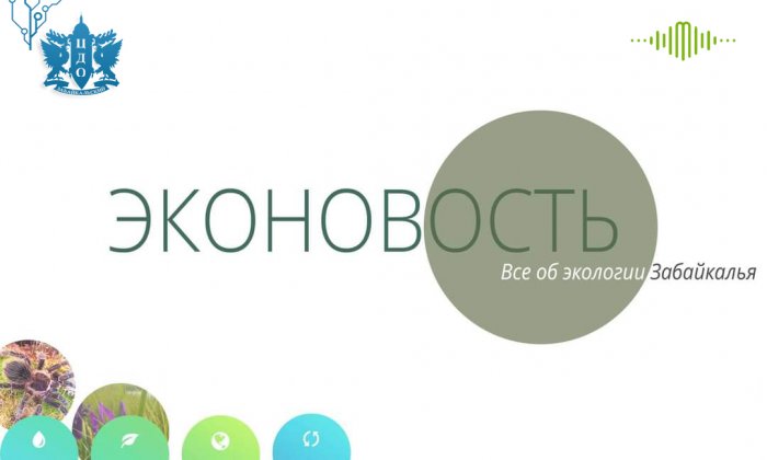 Экологическая интернет-радиостанция «ФИЛИН ПАРК»