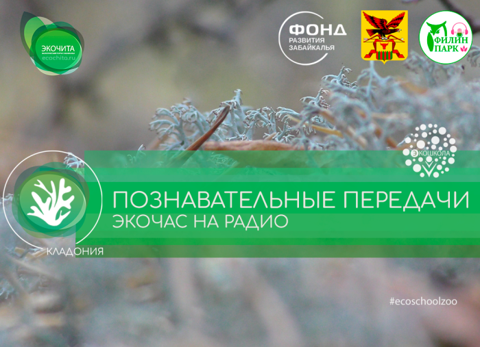 Экочас на интернет радиостанции Филин парк