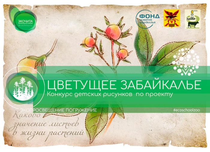 Конкурс детских рисунков Экопроекта Экопросвещение «Погружение»