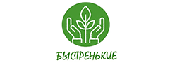 ООО «ГРК «Быстринское»