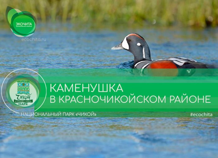 Каменушка в Красночикойском районе