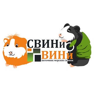 Питомник морских свинок СВИНИ & ВИНИ